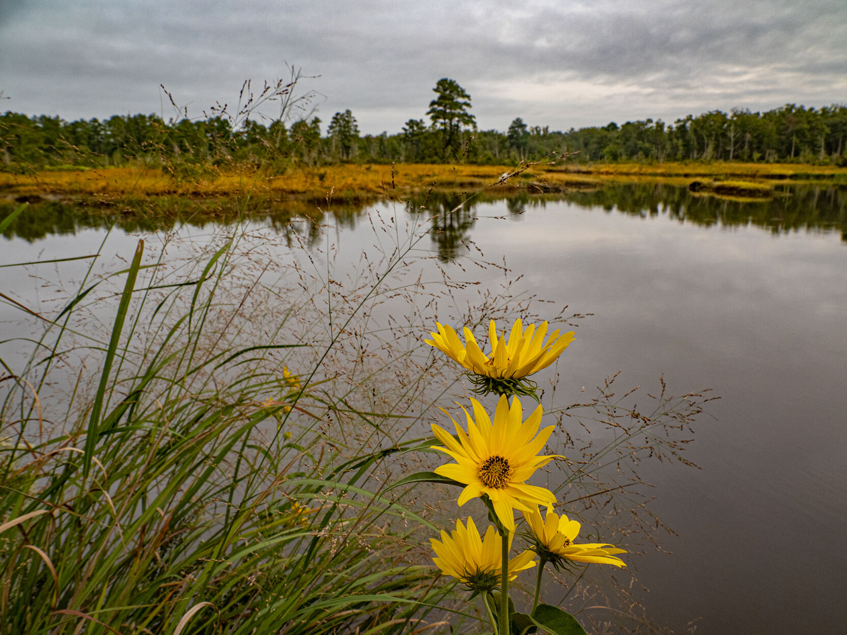 Zekiah Swamp, MD